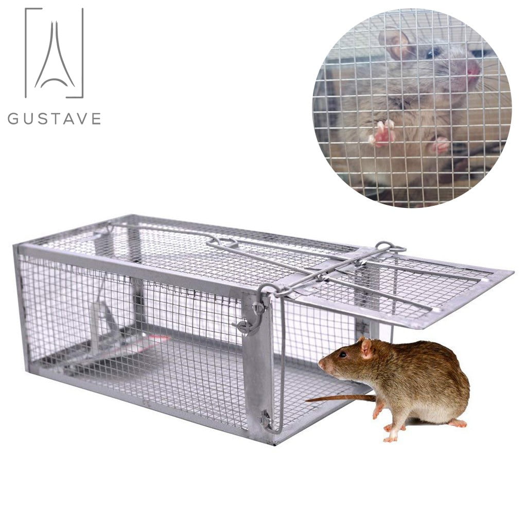 Spencer Rat Trap Cage Small Live Animal Humane Cage Pest Rodent Mouse  Control Bait Catch Pest Mouse Trap Cage 11 x 5.5 x 4.3 inches 