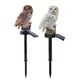 thumbnail image 4 of Power LED Owl Lawn Light Solar Impermeable Jardín Paisaje Ligh( ) Marrón 5pcs Hugtrwg Para estrenar, 4 of 9