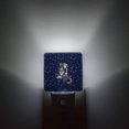 thumbnail image 1 of Night Light Plug in LED Lamp Automatic Sensor Night Lights Plug into Wall Western Texas Star Rustic Wood Farm Pattern Bedroom Hallway Bright Decor Square Dim FYBTO s for Kids Children Girl, 1 of 4
