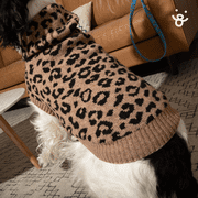 Oodles Fall Multi-Colored Leopard Print Hooded Dog Sweater, Medium