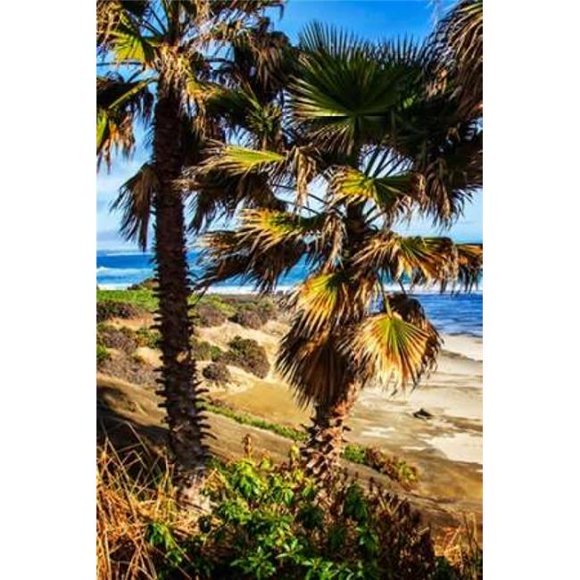 Gango Editions PDXPSHSF2008SMALL La Jolla Palms I Poster Print by Alan Hausenflock, 10 x 14 - Small