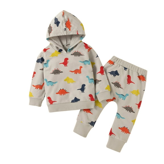 Hienoo Boys Hoodie Set Dinosaur Printed Hooded Sweatshirt Pants Sweatsuit Outfits