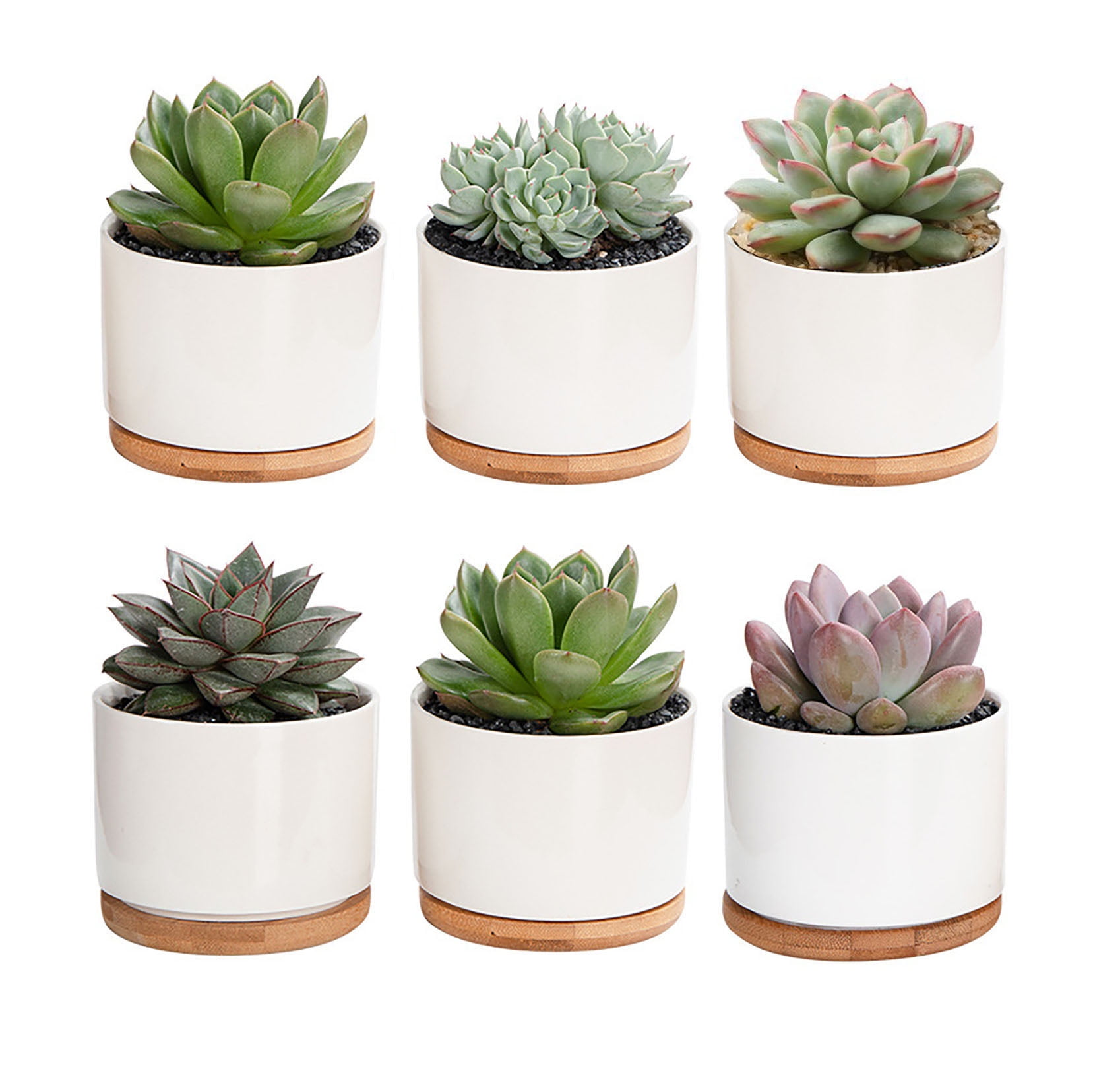 White Round Ceramic Succulent Plant Pot Cactus Flower Planter Bamboo Tray Stand 