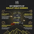 thumbnail image 4 of Herbal Bee Pure Himalayan Shilajit Gummies with Ashwagandha, Natural Energy Supplement, 60 Count, 4 of 7
