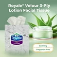 thumbnail image 4 of Royale Velour Lotion, 3 Ply Facial Tissue, 1 Cube Box, 54 Tissues per Box, 54 tissues per pack, 4 of 4