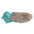 thumbnail image 1 of Gradient Curly Long Wig,Long Wavy Wig Synthetic Long Wavy Wig Synthetic Long Wavy Wig Exceptional Reliability, 1 of 14