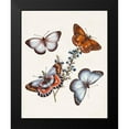thumbnail image 2 of Unknown 20x24 Black Modern Framed Museum Art Print Titled - Butterflies and Moths III, 2 of 5