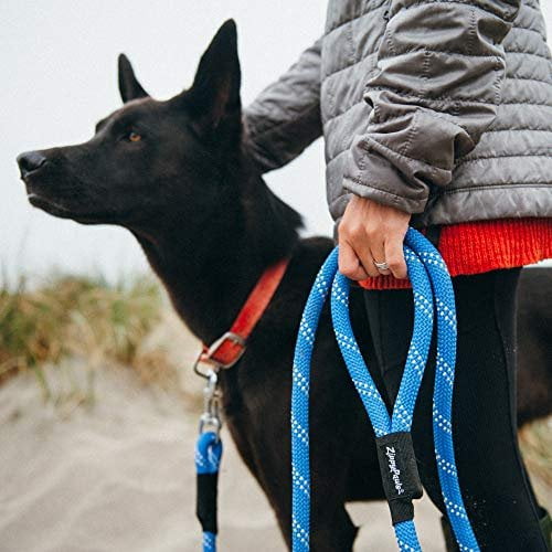 Climbers Dog Leash 6ft Purple