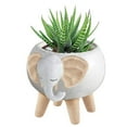 thumbnail image 5 of White Elephant Pot | Decorative Succulents Ceramic Planter | 2.5" Tall, 5 of 10