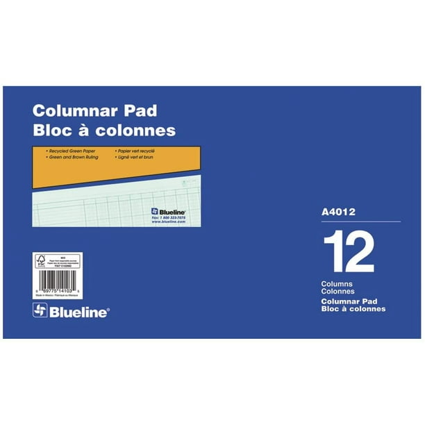 Blueline Columnar Pad, Glued Top Binding, 12 Columns with Description
