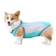 thumbnail image 2 of Chaleco de enfriamiento para perros camiseta de enfriamiento instantáneo en verano chaqueta en carrera a pie de alta visibilidad para actividades al aire libre (azul) Shuxiu Wang  9024719153421, 2 of 5