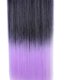 thumbnail image 3 of 5 Clips Color Degradado Clip Sintético Extensiones De Cabello Cabeza Completa Postizos Y Rectos Pelucas Piezas 02 Sunnimix Extensiones de cabello largo y liso, 3 of 6