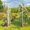 White, variant on VINGLI Vinyl Garden Arbor, PVC Wedding Arch for Ceremony Party, Garden Trellis for Climbing Plants Outdoor, Arch Backdrop Stand for Garden, Backyard, Lawn