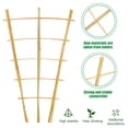 thumbnail image 3 of 2ft Fan-Shaped Bamboo Trellis-Indoor Plant Support for Climbing Plants, Vegetables, and Potted Plants 3pcs, 3 of 8