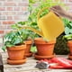 thumbnail image 1 of Xihbxyly Artículos Regadera de plantas Regadera de 1 gal en pico largo Regadera de diseños en flora Regadera de interior asa Regadera de plantas en jardín, 1 of 7