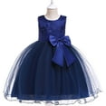 thumbnail image 2 of Fesfesfes Toddler Girls Tulle Dress Net Yarn Embroidery Bowknot Princess Dress Birthday Party Gown Kids Cute Dresses Spring Sale, 2 of 4