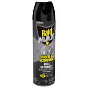 Raid MAX Indoor & Outdoor Spider & Scorpion Killer Bug Spray, 12 oz