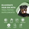 thumbnail image 6 of waggedy Calm Max with Melatonin for Balanced Behaviour & Anxiety Relief, Dog Supplements & Vitamins (60 Pet Calming Chews), 6 of 7