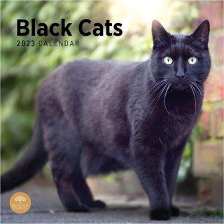 Cat Wall Calendars in Wall Calendars - Walmart.com