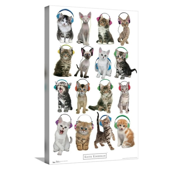 Keith Kimberlin - Kittens - Headphones Canvas Wall Poster, 14.725" x 22.375"