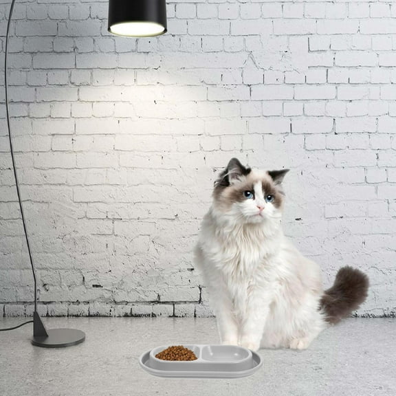 Pawsdot Gray Cat and Dog Bowls for Clean Food and Water Feeding