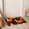 thumbnail image 6 of Squirrel Non-Slip Polyester Office Mat, Door Rug, Indoor Mat - Machine Washable, 6 of 6