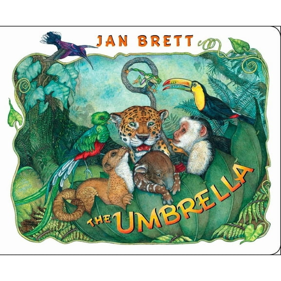 Umbrella (Board Book)