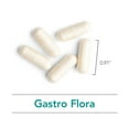 thumbnail image 5 of Nutricology Gastro Flora Supplement - Probiotic for Digestive Health, Gut Health for Men & Women, Lactobacillus and Bifidobacterium - 90 Count, 5 of 7