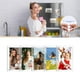 thumbnail image 4 of de Fotos Magnético, de Fotos con Imán Acrílico para Refrigerador, Marcos de Fotos Transparentes de 2,36 X 3,54 Pulgadas, Paquete de 10, 4 of 5