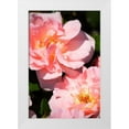 thumbnail image 3 of Alan Hausenflock 13x18 White Modern Wood Framed Wall Art Titled - Wild Roses II, 3 of 5
