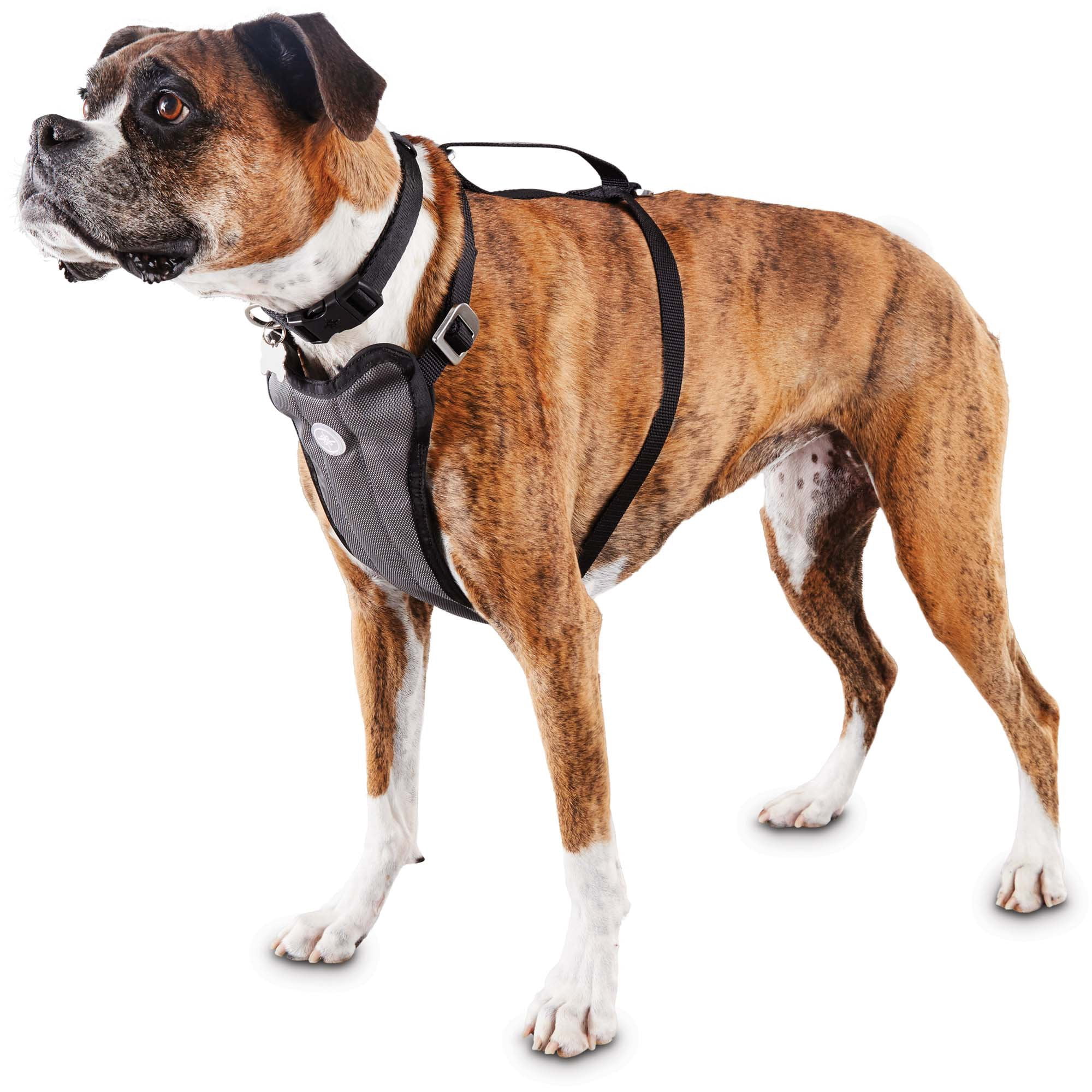 bond & co rope leash