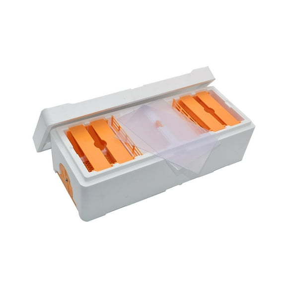 Foam Bee Mating Box Double Slot Beekeeping keeping Tools Bee Rearing Cage
