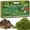 8oz, variant on ZeeDix 8OZ Premium Sphagnum Moss for Reptile, 12QT Green Natural Live Moss Reptile Moss Bedding for Terrarium Plants, Long Fiber Reptile Moss for Leopards, Geckos, Snakes, Turtles, Frogs