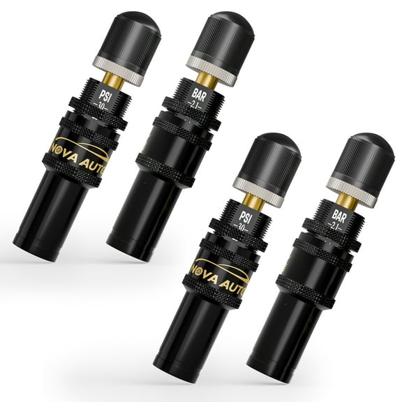 4PCS Tire Deflator(10-30 PSI),Adjustable Auto-Stop Tire Deflators Offroad Accessories,Air Down Tire Deflators 4x4,Screw-on Air Down Tire Tool for Trucks,Motorcycle,Jeep