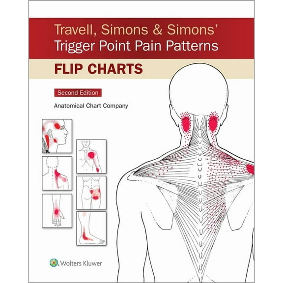 Travell, Simons & Simons' Trigger Point Pain Patterns Flip Charts (Paperback)