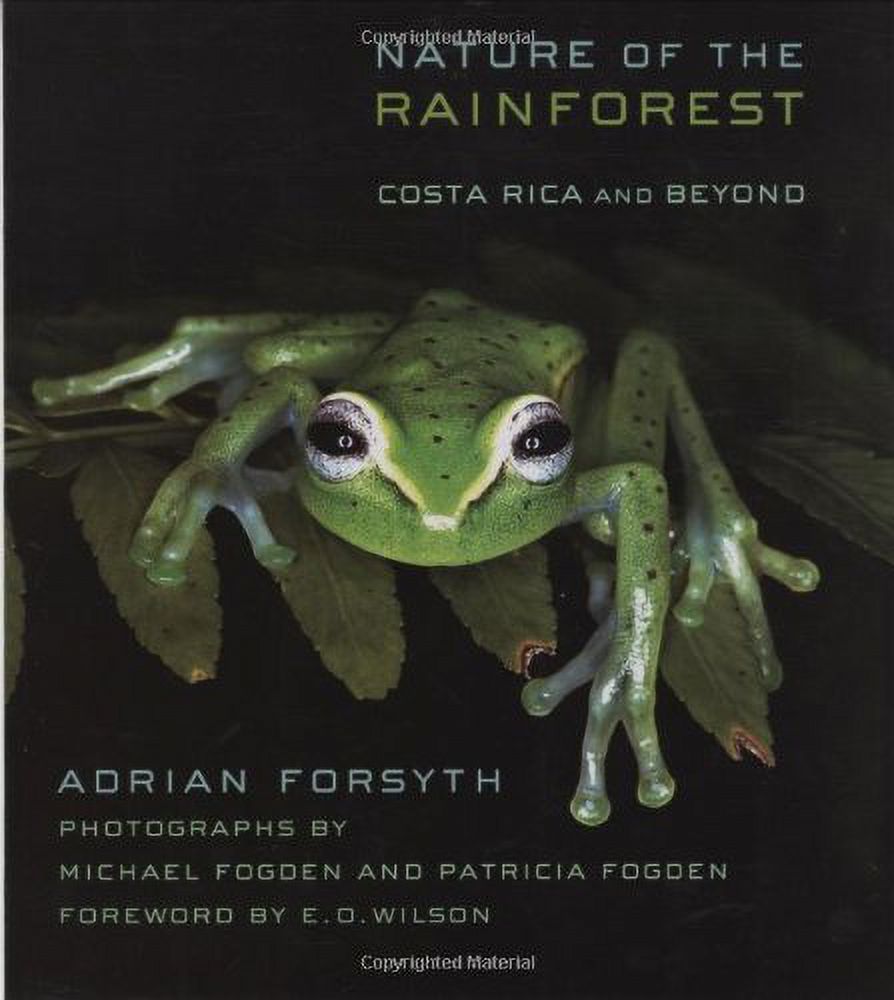 Zona Tropical Publications Nature of the Rainforest: Costa Rica and Beyond, (Paperback)