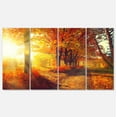 thumbnail image 2 of Autumnal Trees in Sunrays - Large Landscape Canvas Art Print, 2 of 3