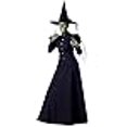 thumbnail image 3 of InCharacter Costume de Sorcière pour Femmes, Grand Noir, 3 of 3