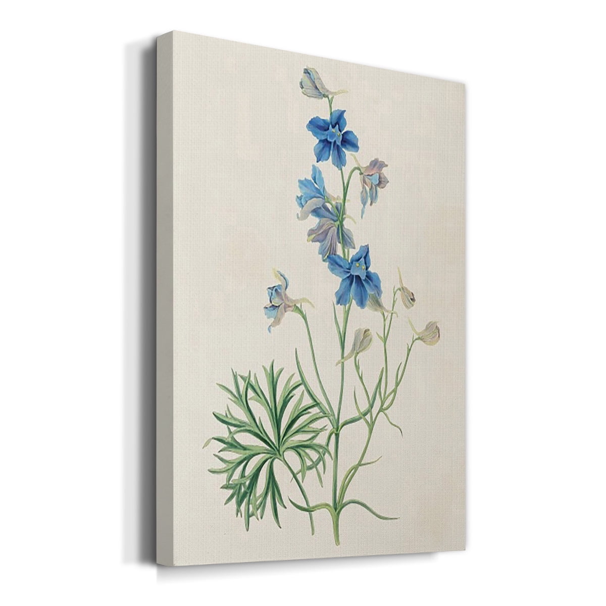 Flowers of the Seasons II Premium Gallery Wrapped Canvas - Ready to Hang
