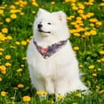thumbnail image 6 of 2 Pcs Pumpkin Thanksgiving Fall Cat Bandana Puppy Bandanas Adjustable Dog Bib Scarf Accessories Square Dog Scarves for Pet Dog Rabbit Birthday Gift, 6 of 6