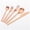 Rose Gold, variant on Scheam Stainless Steel Tableware Set,5 Pcs Matte Satin Finish Flatware,Mirror Polished Cutlery Set,Knives Forks and Spoons Set for Home Kitchen Restaurant, Dishwasher Safe (Silver)