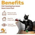 thumbnail image 4 of Tuff Kitty Puff Pack of 12 Jumbo 2 Inch Sparkle Tinsel Balls for Cats – Assorted Colors, 4 of 4