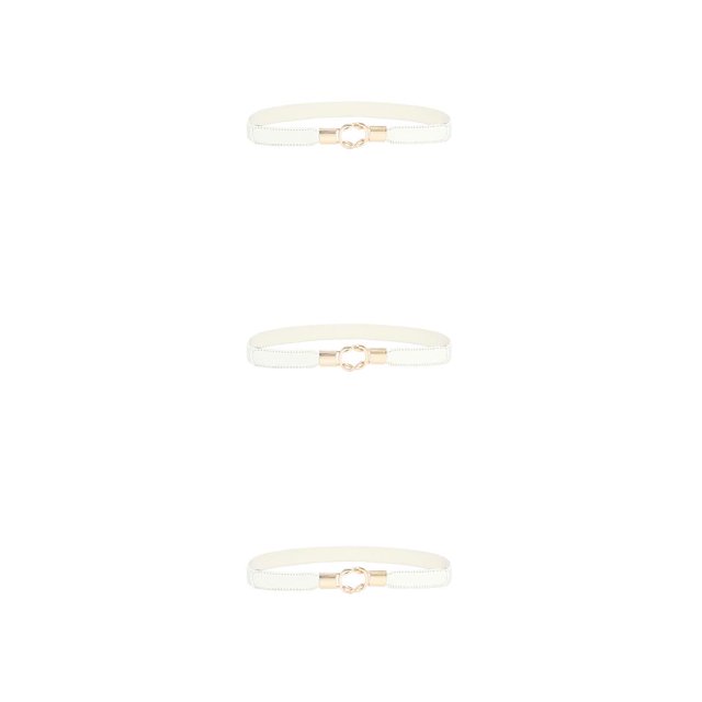 Qarigey Banda de la cintura Exquisita Elástico Universal Correas de cuero dorado con hebillas Puffer Coat Cinturones del día de San Valentín Type1 NO1 Qarigey CBP196880