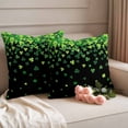 thumbnail image 2 of St. Patrick's Day Outdoor Waterproof Pillow Covers, Spring Lucky Shamrocks Leaves Black Decorative Square Throw Pillowcase Sofa Cushion Sham for Patio/Couch/Chair, 20"x20" 2 Pack, 2 of 8