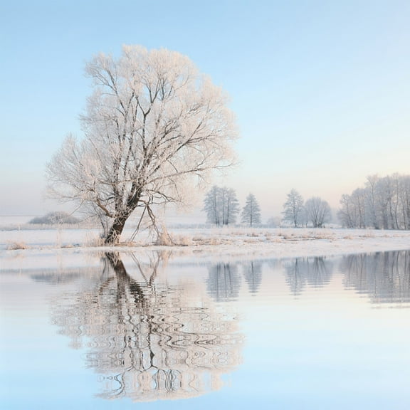 Bent Reflection Winter Canvas Art 18 x 18