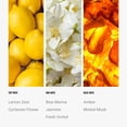 thumbnail image 4 of Difusor de aromas Aroma360 Escape Oil Blend de lujo para hoteles, 50 ml, 4 of 7