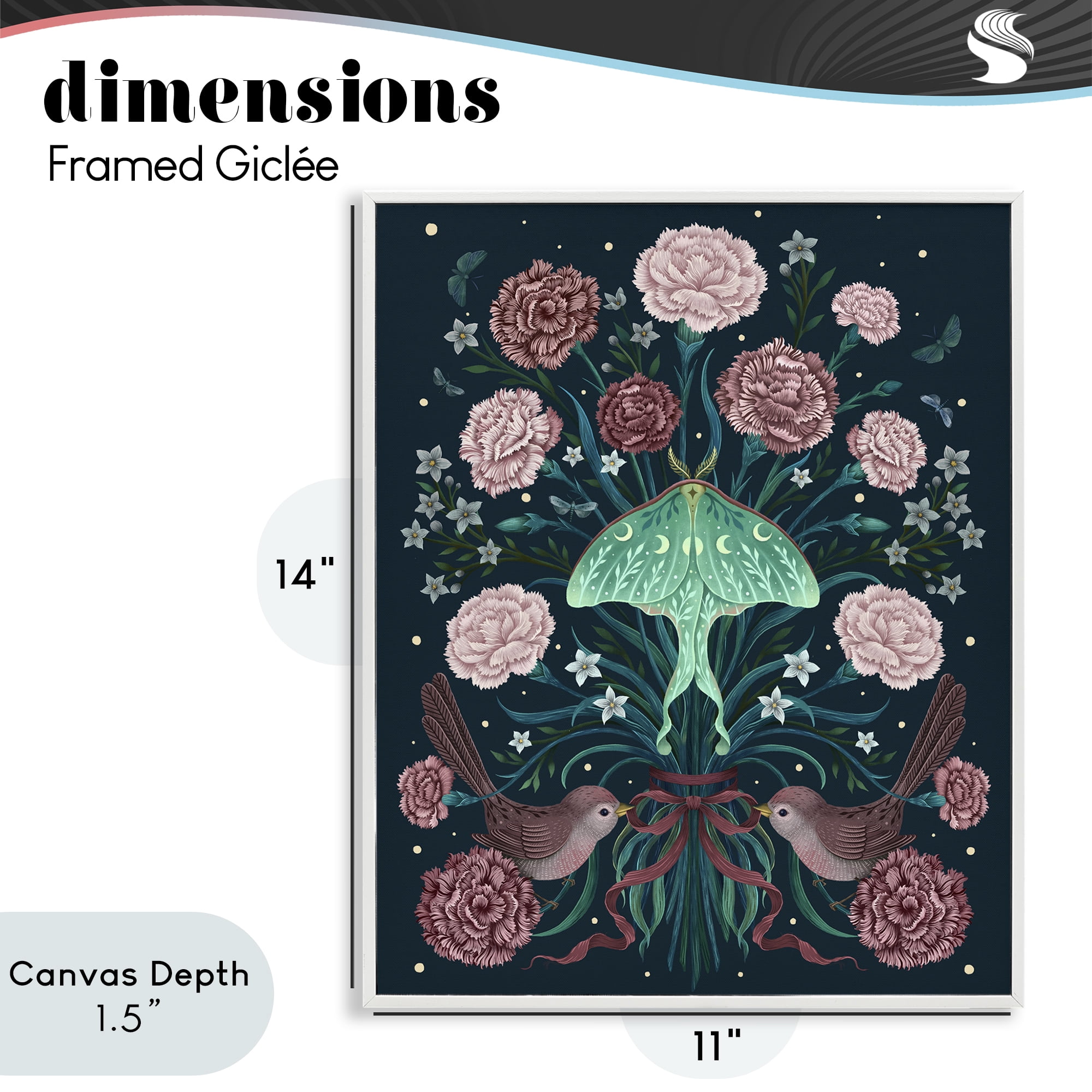 Stupell Industries January Carnations & Moth White Framed Giclee Art, design by Episodic Drawings