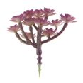 thumbnail image 2 of s de cactus de imitación plástico artificial flor decoración del hogar manualidades de bricoje 9 1 pieza 9 x 8cm púrpura Baoblaze Cactus Artificial Suculento, 2 of 6