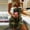 Camouflage, variant on Women’S Overalls Jumpsuits For Women’S Classic American Flag Midi Denim Dress Fourth Of July Outfits Slim Frayed Raw Jean Dresses Bib Overalls Rompers For Women Gray L