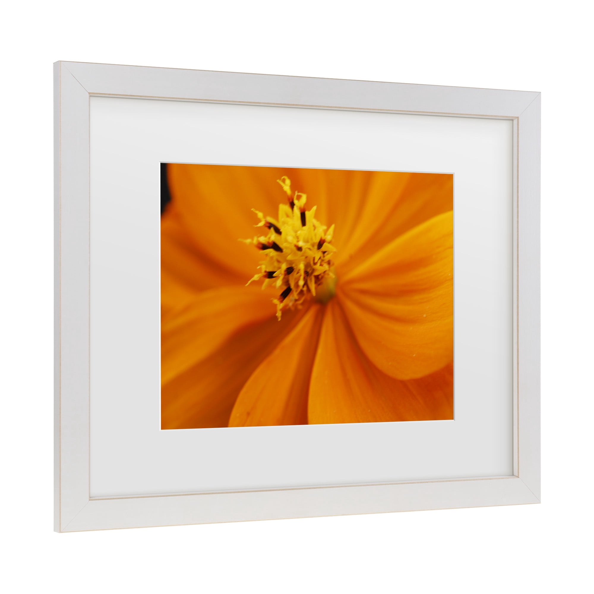 Trademark Fine Art 'Orange Flower' Canvas Art by Kurt Shaffer